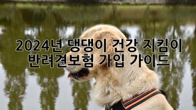 2024년, 댕댕이 건강 지킴이! 반려견보험 가입 가이드