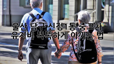 울산 남구 신정1동 중고차 유지비, 똑똑하게 아끼는 법 😎